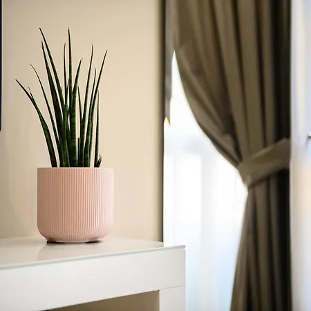 Πανσιόν Alma Νάπολη